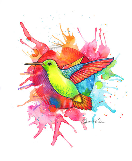Hummingbird Splash 2