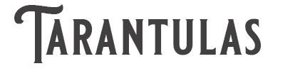 400x100 tarantulas type
