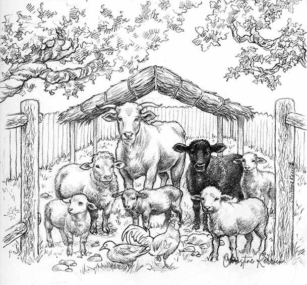 small-sheepfold-72-WEB
